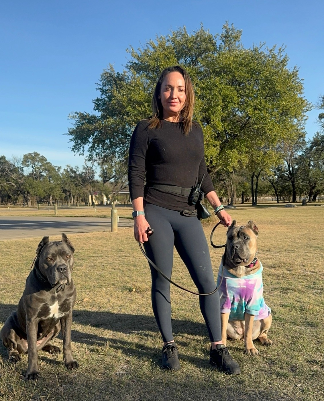 Cynthia with two well-behaved Cane Corsos on leash in a park
