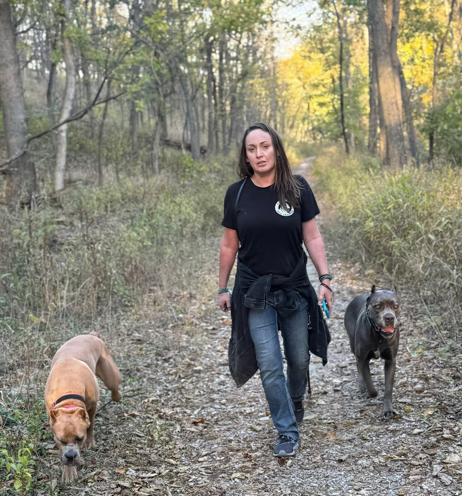 A trainer walking two dogs calmly on a loose leash down a tree-lined path