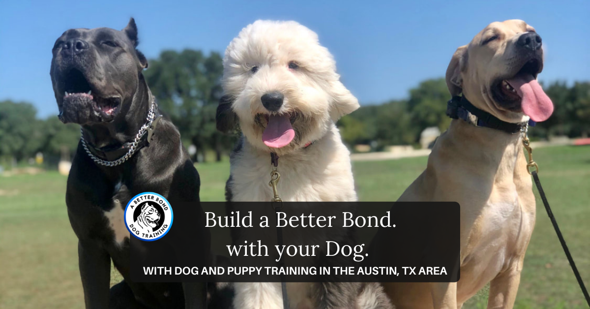 Build a Better Bond With Your Dog. With Dog and Puppy Training in the Austin, Tx Area 
