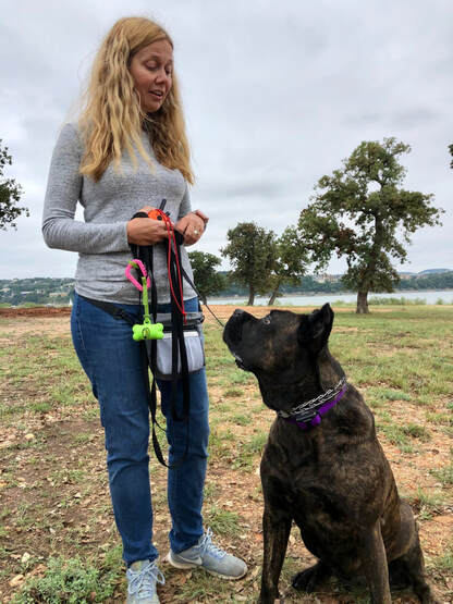 Dog Training Austin TX