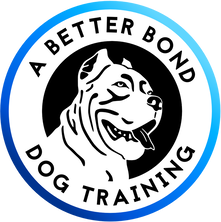 A Better Bond Dog Training | Austin, TX Dog Training